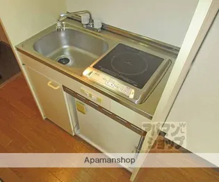 VIP大宅【201号室】のキッチン