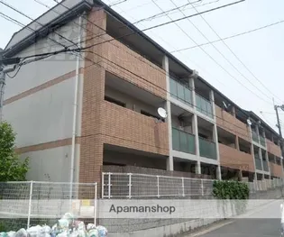 メリーコンフォートの画像