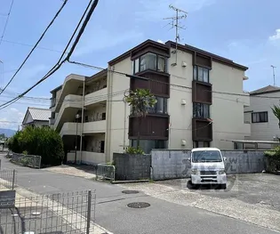 キャッスルササイの画像