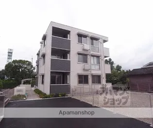 グレイス花の画像