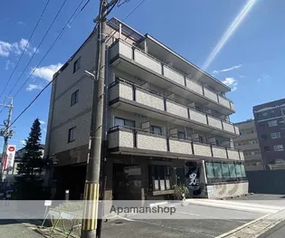 アルティア桂の画像