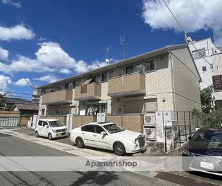 アプリコットの画像