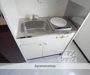 フラッツ太秦【203号室】のキッチン