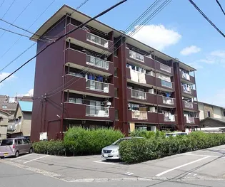 梅ノ宮ハイツの画像