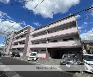 シェモア19の画像