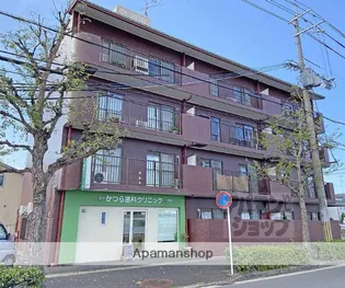 ロココ桂の画像