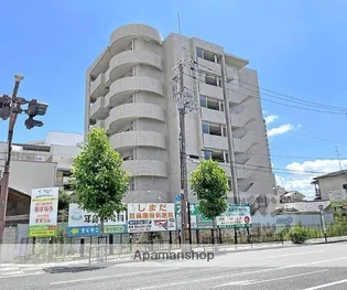 ジュノンの画像