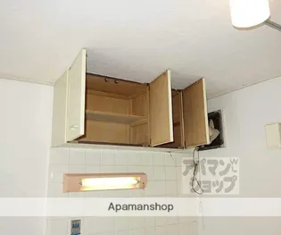 グリーンハイツ山崎【203号室】の内装