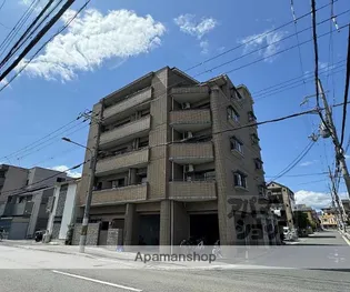 メゾンショウエイ【203号室】の外観