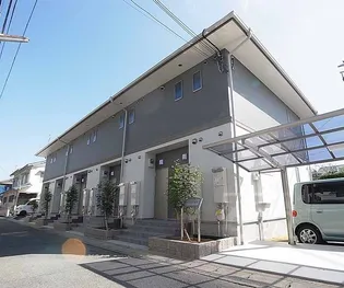 アムールTMMの画像