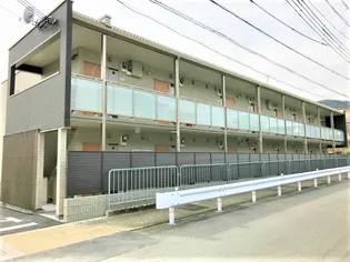 クレイノゆずりはの画像