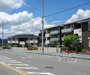 サザンヴェルデの画像