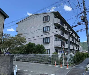 ヴィラ ピーシスの画像