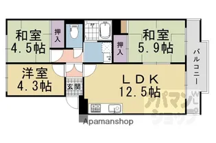 ハイコーポ長岡京【B503号室】の間取り