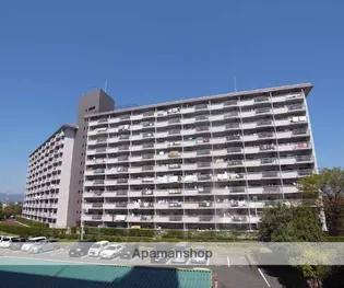 向島ニュータウン3街区F棟の画像