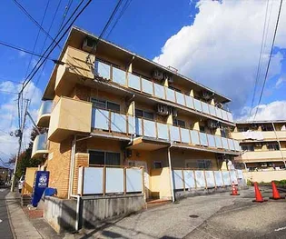 ロイヤルパレス大枝の画像