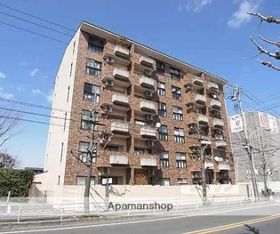 エルフィン井上の画像