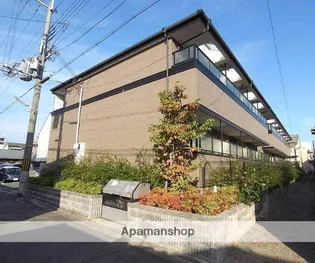 ビューティー藤ノ木の画像