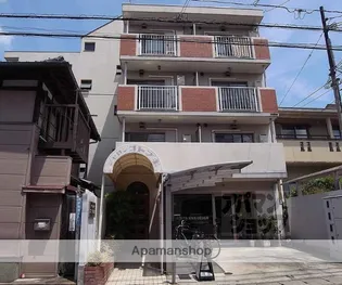 シャロンコトブキの画像