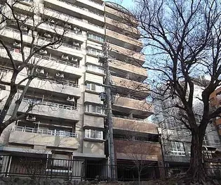 マッケンジー東堀川の画像