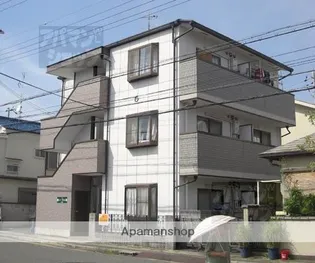 シーガルの画像