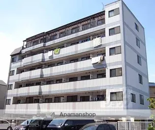 ヤムズⅢの画像