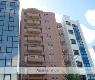 VILLA MARY 五条【603号室】の外観