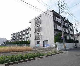 第一エバグレース音羽の画像