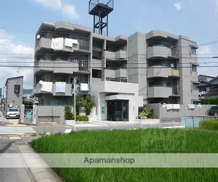 エクセレント林の画像