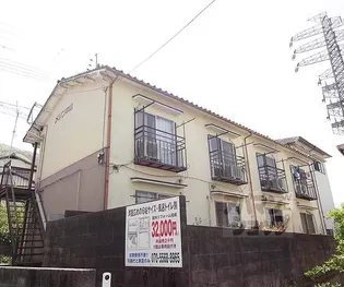 ハイビスカスの画像