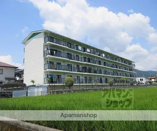 サンパティック8の画像