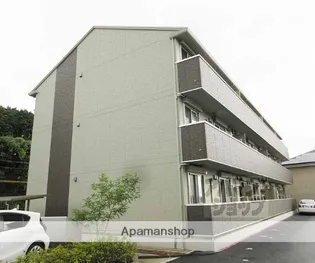 K'Sグレイスの画像