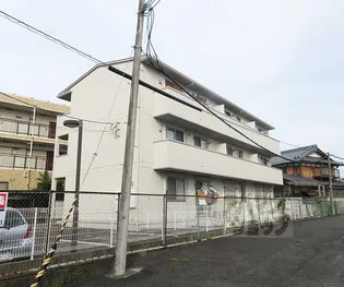 カームコトブキの画像