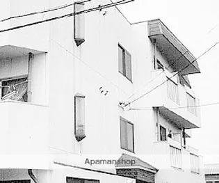 CHATEAU FRAISE【3階】の外観