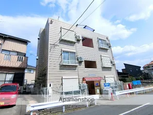 STAYDREAMHILLの画像