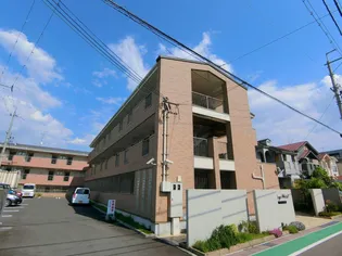 エアリーウエストの画像