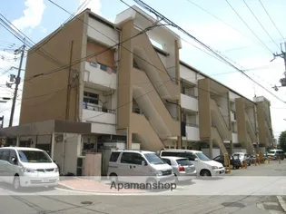 レイワーアールズの画像