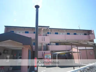 ヴィラ田辺1号館【306号室】の外観