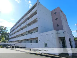 ブラッサム精華の画像