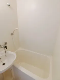 クリサンティヒル山田川【308号室】の風呂