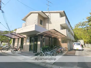 ヴァーナルワンの画像