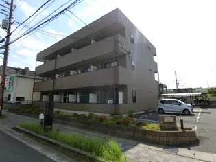 アンプルール フェール ヴェルジュの画像