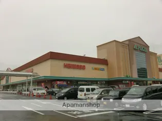 クリサンティヒル山田川【209号室】の周辺