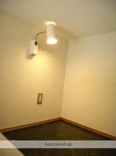 クリサンティヒル山田川【209号室】のその他画像