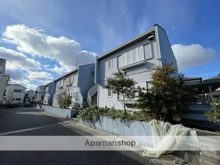 タウニィ半白の画像