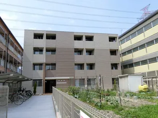 エルシェの画像