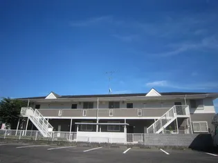 グランドフォレストの画像