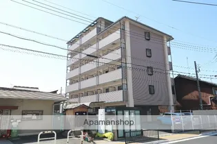 エーデルワイス61の画像