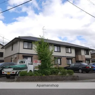 ハイカムールカスガの画像