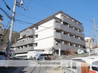 フィールドバレイマイズの画像